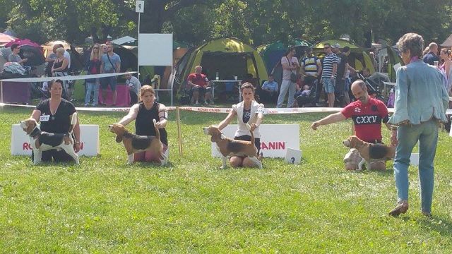 2015 IHA Bratislava – EN