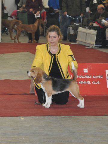 2015 IHA Zagreb – EN