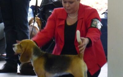 Fehova Winter Dog Show 2016