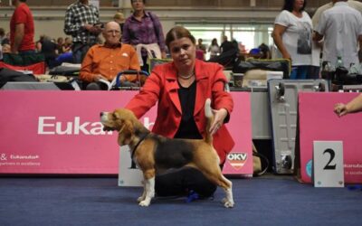 IHA Tulln – Middle East European Winner Show