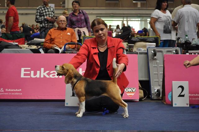 IHA Tulln – Middle East European Winner Show