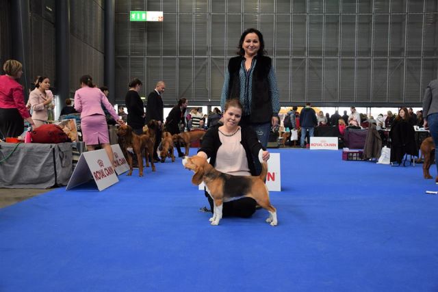 Cassy IHA Brünn – EN