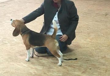 Cassy CAC Biasca (CH)