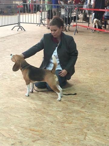 Cassy CAC Biasca (CH)