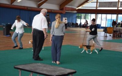 Cassy IHA Kreuzlingen