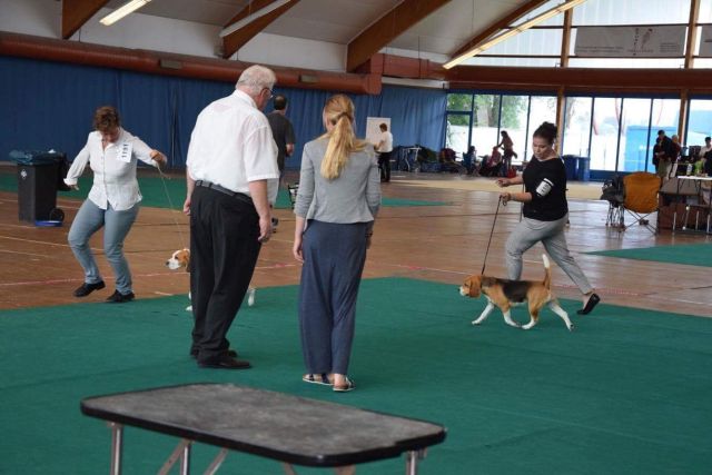 Cassy IHA Kreuzlingen