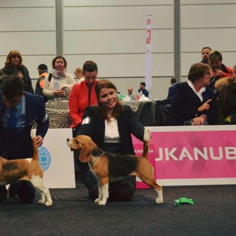 World Dog Show Leipzig 2017