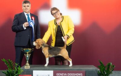 Cassy auf der IHA Genf