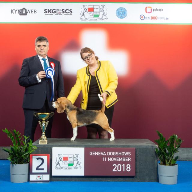 Cassy auf der IHA Genf – EN