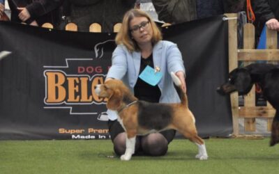 Ortenau-Schau Offenburg 2019 – EN