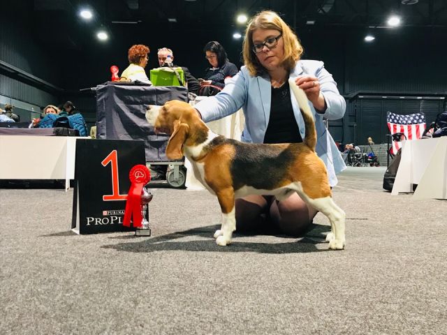 32. Ortenau-Schau Offenburg 2019