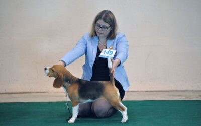 CACIB Winter Winner Celje 2019 – EN