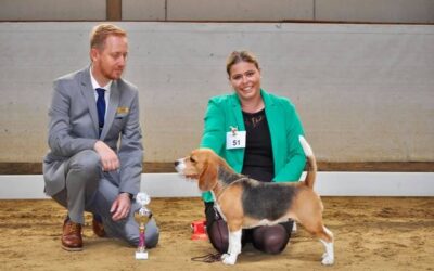 CAC Show Steinhagen – EN