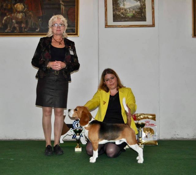 CSS Austria Beagle Club 2019