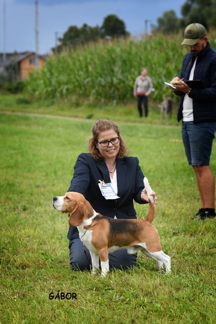 Fehraltorf Summer 3x-CACIB 2021