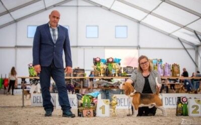 WDS Beagle Speciality 2021