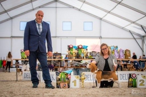 WDS Beagle Speciality 2021