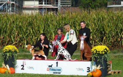 Fehraltorf Autumn 3x-CACIB 2021