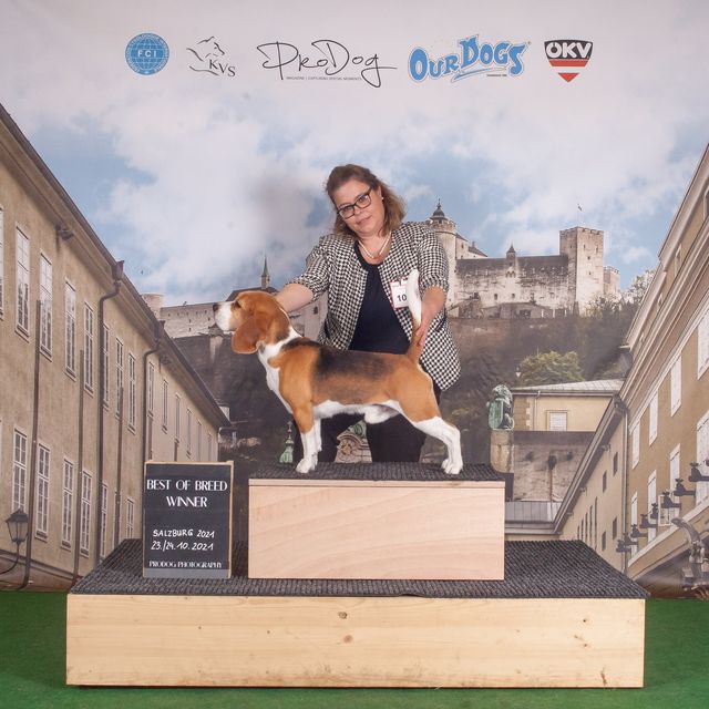 Doppel CACIB Salzburg 2021