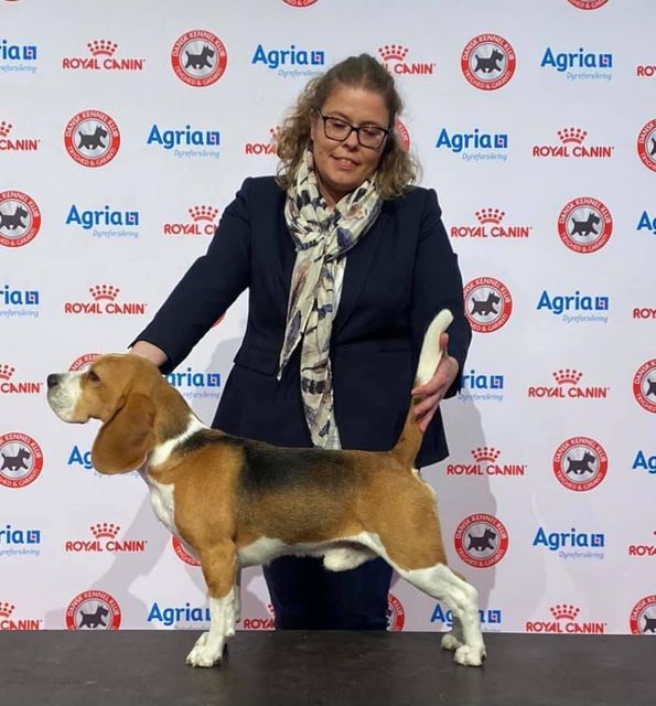 Nordic / Danish Winner Show Herning 2021