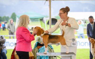 CAC Hrušica – Lesce