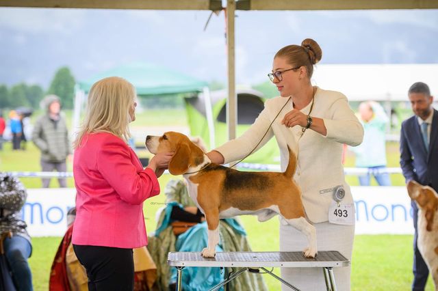 CAC Hrušica – Lesce – EN