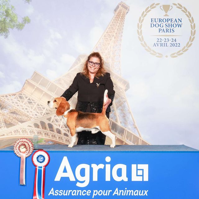 Championnat de France – EN