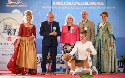 Champion Of Champions Show 2022