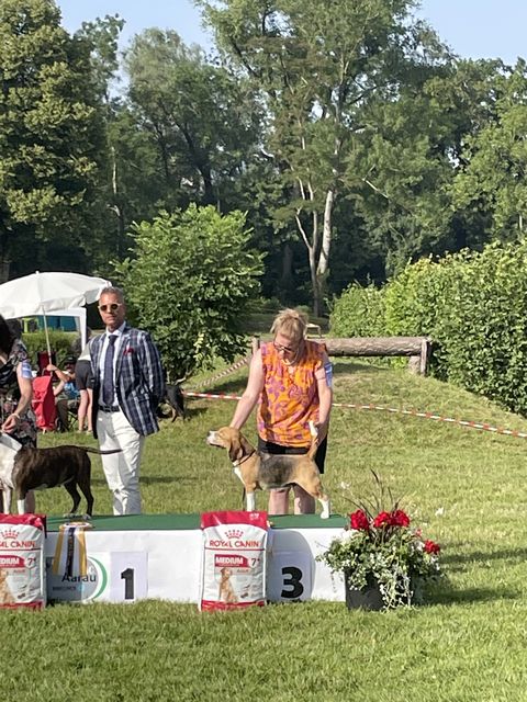 CACIB Aarau 2022 – EN