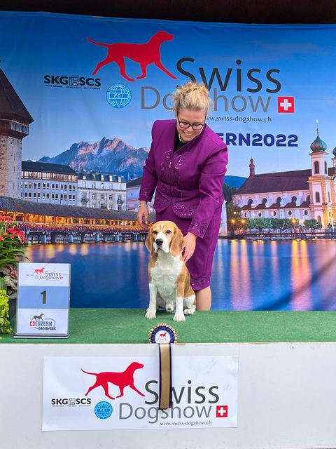 CACIB Luzern 2022 – EN