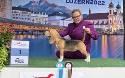 CACIB Luzern 2022 – EN