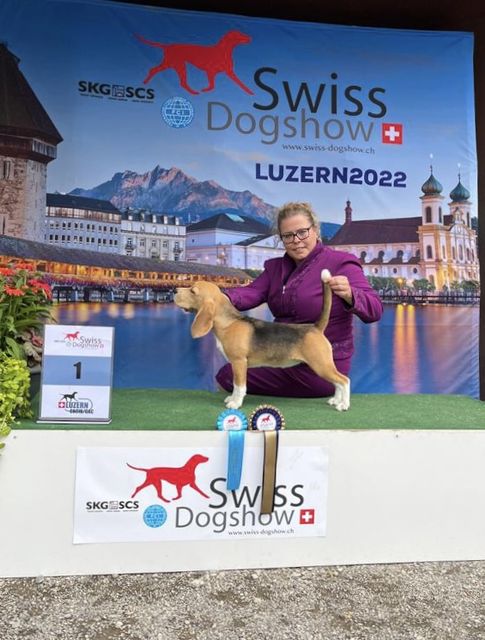 CACIB Luzern 2022 – EN