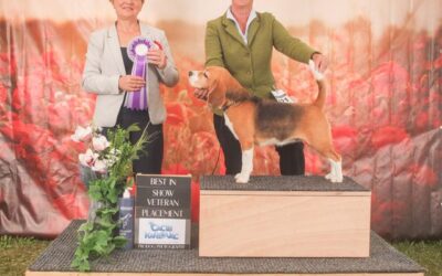 4 RIVER WINNER SHOW CACIB KARLOVAC 2022