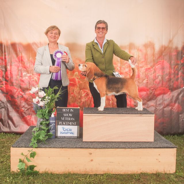 4 RIVER WINNER SHOW CACIB KARLOVAC 2022
