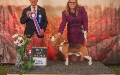 4 RIVER WINNER SHOW CACIB KARLOVAC 2022