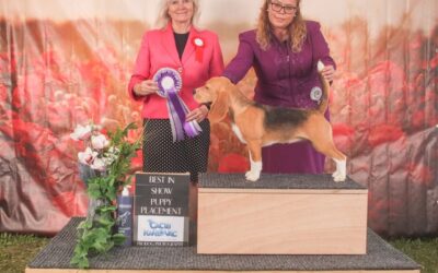 4 RIVER WINNER SHOW CACIB KARLOVAC 2022 – EN
