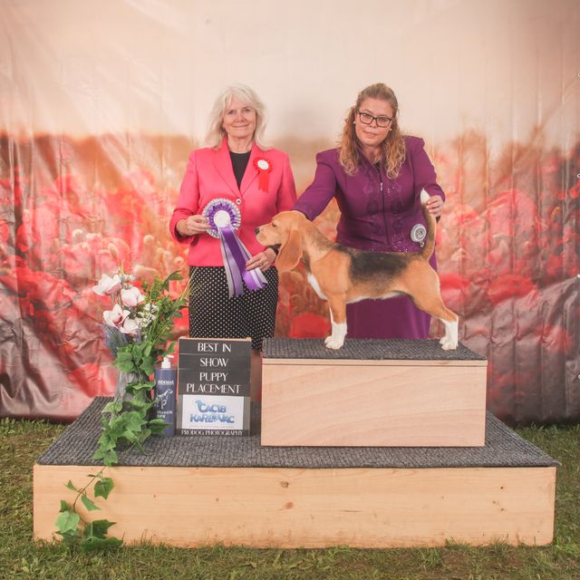 4 RIVER WINNER SHOW CACIB KARLOVAC 2022