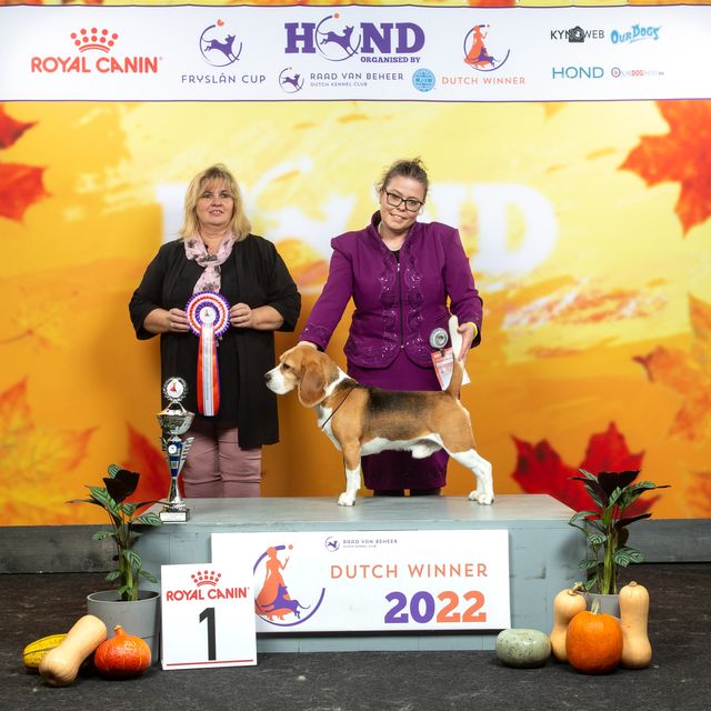 Fryslan Cup 2022 – EN