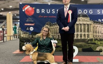 Brüssel Dog Shows 2022