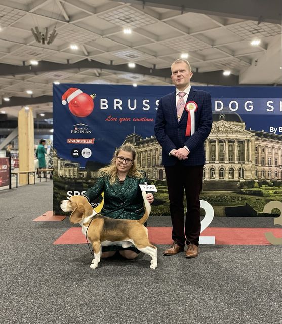 Brüssel Dog Shows 2022 – EN