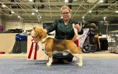 Fehova Winter Dog Show 2023
