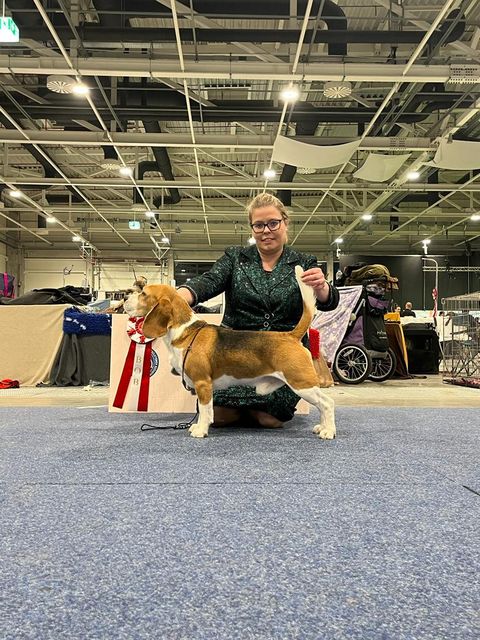 Fehova Winter Dog Show 2023 – EN