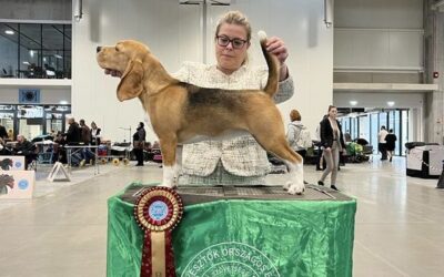 Fehova Winter Dog Show 2023