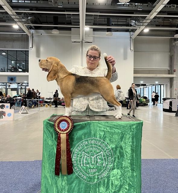 Fehova Winter Dog Show 2023