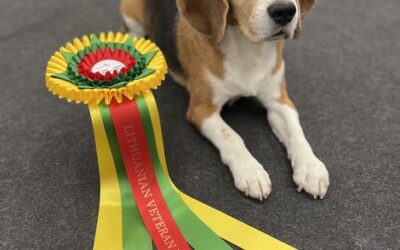 International dog show VILNIUS SPRING 2023