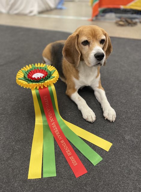 International dog show VILNIUS SPRING 2023 – EN