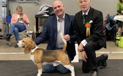 International dog show VILNIUS SPRING 2023