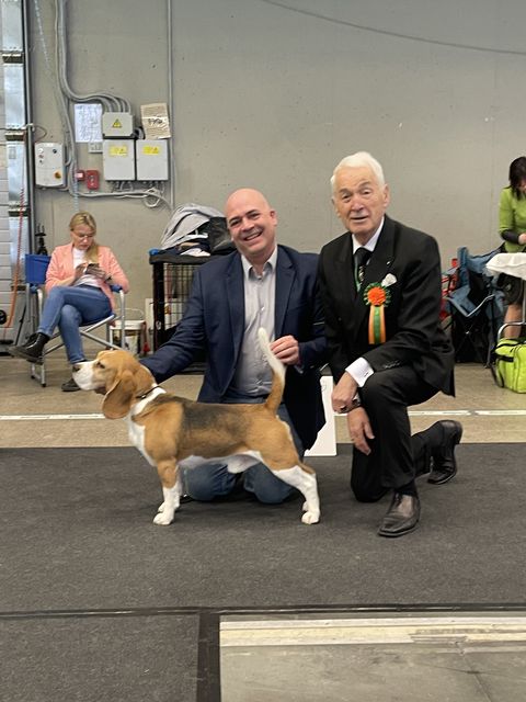 International dog show VILNIUS SPRING 2023 – EN