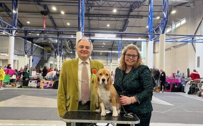 International dog show VILNIUS SPRING 2023