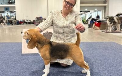 Dalmatia Dog Shows Zadar 2023